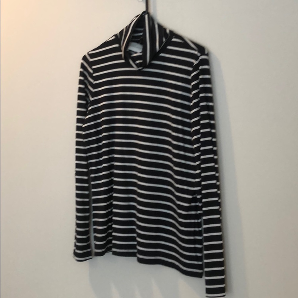 Banana Republic Threadsoft Striped Turtleneck